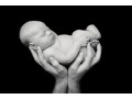 baby-boo-studios-offers-the-best-photography-in-brisbane-small-3
