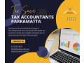 customize-your-financial-goals-with-a-qualified-and-highly-adept-accounting-agent-small-0