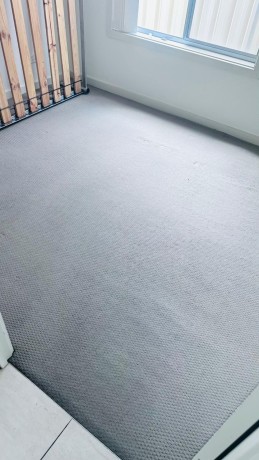 find-holistic-cleanup-solutions-from-the-best-carpet-cleaning-company-in-adelaide-big-0