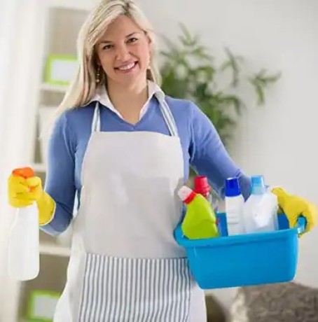 bond-back-cleaning-reservoir-big-0