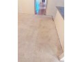 remove-rigid-grime-and-filth-with-holistic-carpet-cleaning-services-near-me-small-0