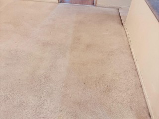 remove-rigid-grime-and-filth-with-holistic-carpet-cleaning-services-near-me
