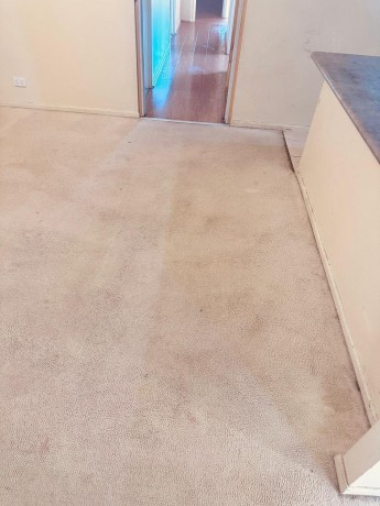 remove-rigid-grime-and-filth-with-holistic-carpet-cleaning-services-near-me-big-0