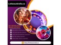 enjoy-free-slot-games-in-australia-play-online-at-lotto-australia-small-0