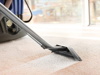 professional-carpet-cleaning-services-in-sydney-everdry
