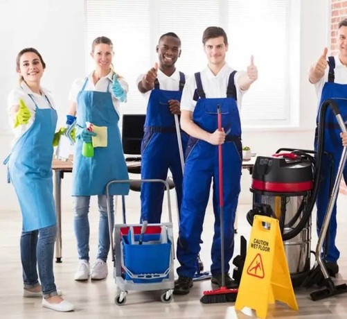 residential-carpet-cleaning-in-adelaide-big-0