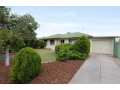 ray-white-tea-tree-gully-the-best-local-property-expert-near-me-small-0