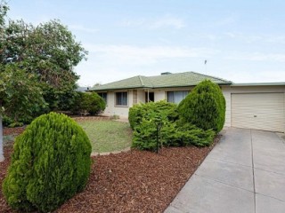 ray-white-tea-tree-gully-the-best-local-property-expert-near-me