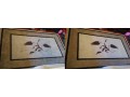 say-goodbye-to-stains-with-dry-carpet-clean-in-adelaide-small-0