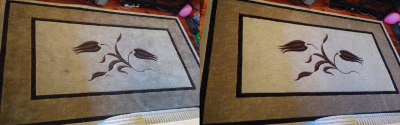 say-goodbye-to-stains-with-dry-carpet-clean-in-adelaide-big-0