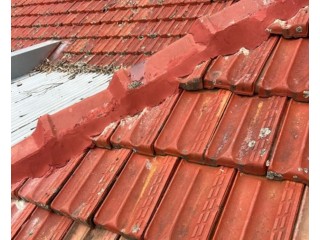 Protect your canopy from UV damage, oxidation, and weathering with Local Roof Painting Adelaide