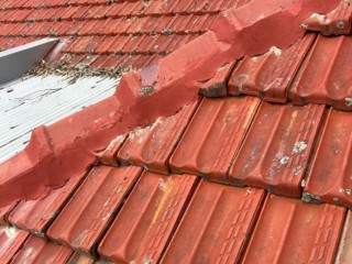 protect-your-canopy-from-uv-damage-oxidation-and-weathering-with-local-roof-painting-adelaide