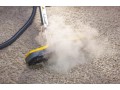 carpet-steam-cleaning-specialist-adelaide-small-0