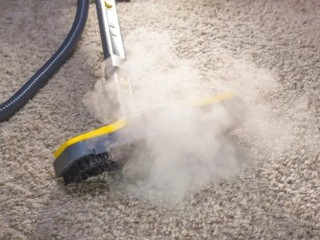 carpet-steam-cleaning-specialist-adelaide