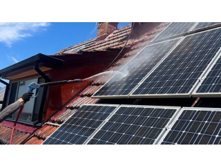 Prevent costly repairs, due to moss or algae growth with holistic Roof Cleaning SA