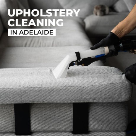 eliminate-filth-stains-and-germs-with-professional-upholstery-cleaning-adelaide-big-0