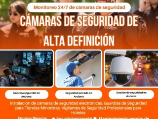 expertos-en-gestion-de-seguridad-en-andorra