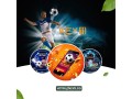 best-site-for-online-betting-id-in-india-small-0