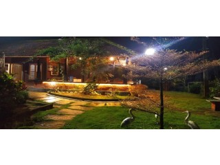 Enchanting Escapes: Unveiling Coorg's Hidden Resorts