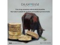 cow-dung-cake-making-small-0