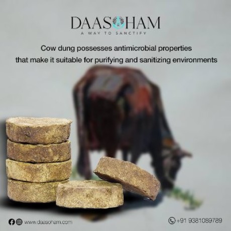 cow-dung-cake-making-big-0