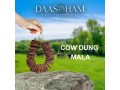 cow-dung-patties-amazon-small-0