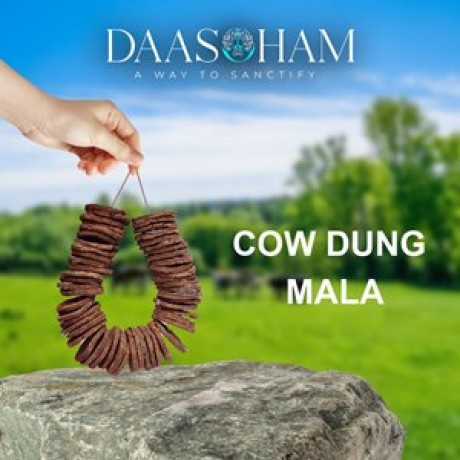 cow-dung-patties-amazon-big-0
