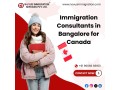 novus-immigration-your-trusted-partner-in-the-immigration-process-small-0
