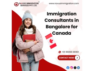Novus Immigration: Your Trusted Partner in the Immigration Process