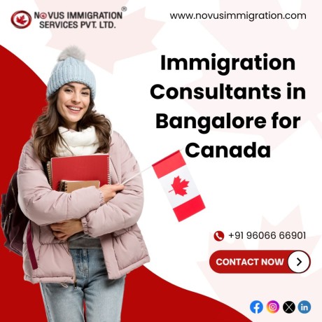 novus-immigration-your-trusted-partner-in-the-immigration-process-big-0