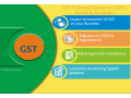 best-gst-course-in-delhi-110087-get-valid-certification-by-sla-accounting-institute-gst-and-tally-prime-institute-in-delhi-noida-small-0