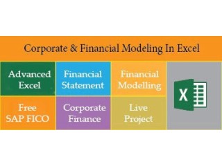 Financial Modeling Training Course in Delhi,110024. Best Online Live Financial Analyst Training in Nagpur by IIT Faculty , [ 100% Job in MNC]