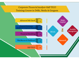 Financial Modelling Certification Course in Delhi.110088. Best Online Live Financial Analyst Training in Gurgaon by IIT Faculty , [ 100% Job in MNC]