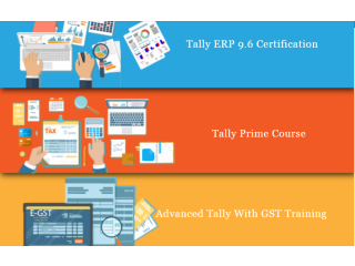 Tally Prime Course in Delhi, 110088,12th and Graduation by SLA Accounting, Taxation and Tally Prime Institute in Delhi, Noida, July Offer'24