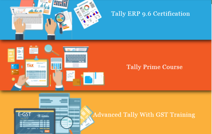 tally-prime-course-in-delhi-11008812th-and-graduation-by-sla-accounting-taxation-and-tally-prime-institute-in-delhi-noida-july-offer24-big-0