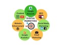 hire-top-digital-marketing-agency-in-india-small-0