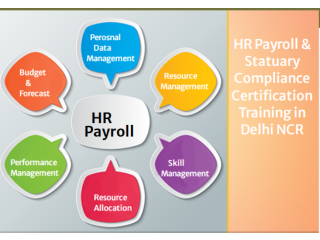 Top HR Course Program in Delhi, 110080, With Free SAP HCM HR by SLA Consultants Institute in Delhi, NCR [100% Placement, Learn New Skill of '24]