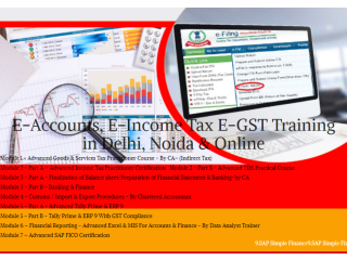Accounting Course in Delhi, 110022, NCR by SLA Accounting Institute, Taxation and Tally Prime Institute in Delhi,