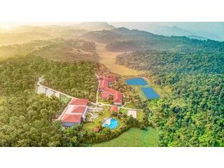 Tracing the Roots: A Historical Journey Through Coorg