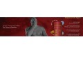 natural-supplements-for-erectile-dysfunction-a-safe-alternative-small-0