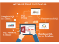 remote-work-global-opportunities-why-data-science-is-a-smart-choice-in-2025-100-job-excel-course-in-delhi-small-0