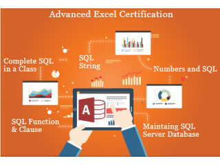 Remote Work & Global Opportunities: Why Data Science is a Smart Choice in 2025, 100% Job, Excel Course in Delhi,