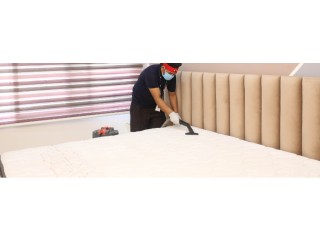 Bed Bugs Treatment in Hyderabad
