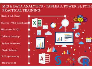 Is an Data Analyst Course Worth It in 2025? Job Market Insights, 100% Job, MIS Course in Delhi,