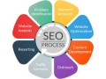 leading-search-engine-optimization-company-in-noida-small-0