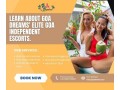 learn-about-goa-dreams-elite-goa-independent-escorts-small-0