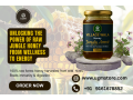 village-wala-jungly-amrit-honey-500gm-raw-pure-natural-forest-honey-small-0