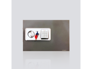 Electronic Locks Manufacturers
