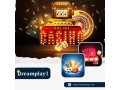 trusted-online-betting-id-in-india-dreamplay1-official-small-0