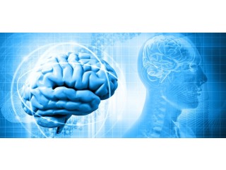 Best Neurosurgeon in Ghaziabad